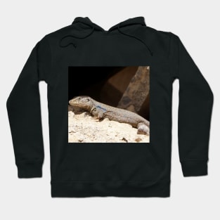 Gallotia Galloti (Male Tenerife Lizard) Hoodie